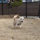 스테이몽펜션