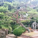 달리는공인중개사사무소 이미지