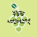 부농농자재 | 마감 ) 백구포도 샤인머스켓 2차 판매 오픈(9월 27일까지)