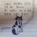 미아옹캣