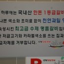 하얀갈비 하루애 이미지