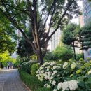 작은막공원 이미지