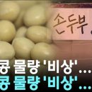 YTN 썸네일 근황.jpg 이미지