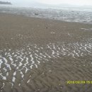 갯벌보러가는길 이미지