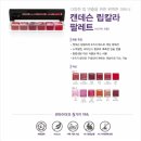 썬초본화장품 | 립스틱 추천 썬라이더코리아 립팔레트