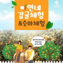 아연네감귤체험농장 이미지