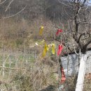 학성 경로당 | 109차 재약봉
