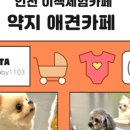 약지애견카페 서창점 이미지