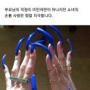 손톱마녀 이미지