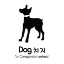 Dog차지 이미지