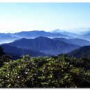 김연준 시 곡 청산에 살리라(경북 청도 운문 마온산 솔개 골짜기) - 테너 박인수, 엄정행 이미지