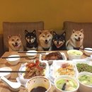 모모컴퍼니