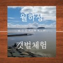 서천갯벌체험글램핑장 | 8월 갯벌체험 서천 월하성 어촌체험마을 다녀온 후기