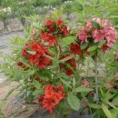 부리농장 이미지