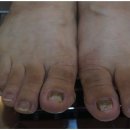 손톱쟁이 - 안성시 덕봉서원로 68 | 손톱쟁이