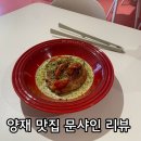참포도나무병원 | 양재 파스타 맛집 문샤인 내돈내산 후기