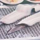 한방통장어탕 네이버블로그