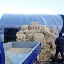 볏짚농장 이미지