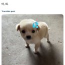 없음 이미지