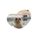 대연골목 | [부산 대연동 카페] 대연골목 / 이상준 쇼 후기
