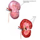 해옴동물병원 이미지