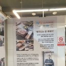 돈사돈구좌흑돼지 이미지