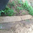 우리농장2 이미지