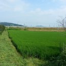 호원농장 이미지