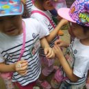 시흥5동어린이집 이미지