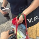럭키빌라 3차 | 경주여행 황리단길 맛집, 경주 혼빌리지 추천