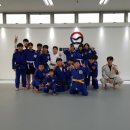 용인대 국가대표 유도장 이미지