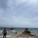 블루웨일 빌리지 | 세부여행 자유여행 오슬롭 투말록 폭포, 수밀론 아일랜드 스노쿨링