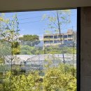 UDA 제주 대형 카페 오션뷰 맛집 브런치 카페 <b>UDA</b>