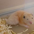 찍 이미지