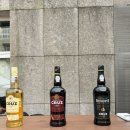 카이스빌딩2 | 포르투갈 포르투 리스본 9박 11일 여행 3부