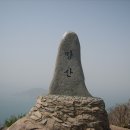 장목농협 외포지점 Daum카페