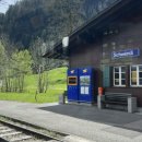 이완재 | 🇨🇭스위스 여행 1. 인터라켄. 융프라우. 이젤발트 🏔️