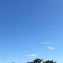 (주)알멕스 이미지