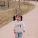 프로젝트 멍 네이버블로그