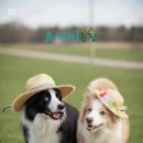 요세비농장
