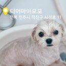 디어마이모모 이미지