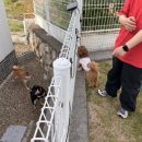 오늘도 너와 이미지