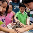 토끼와거북이2 이미지