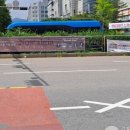 성남대로 이미지