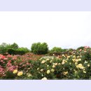 곡성-098 티스토리