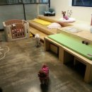 24시OK동물병원 이미지