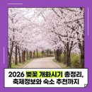 중원레지던스 | 2026 벚꽃 개화시기 총정리, 축제정보와 숙소 추천까지