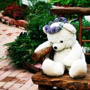 유식물원 이미지