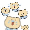 오늘애
