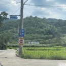 더포레풀빌라